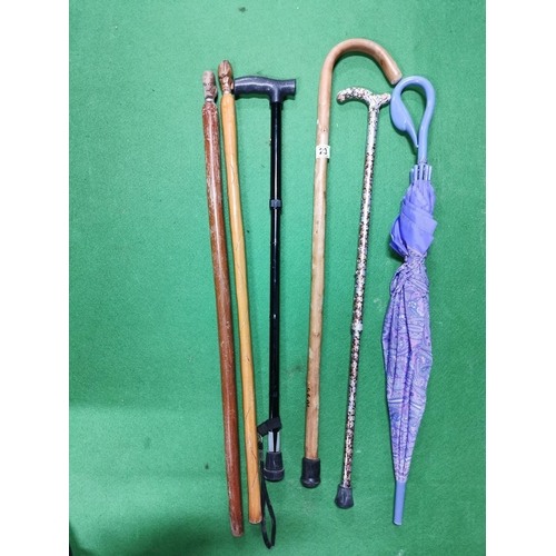 23 - Quantity Of 5 Walking Sticks & An Umbrella Inc Two Carved Walking Sticks