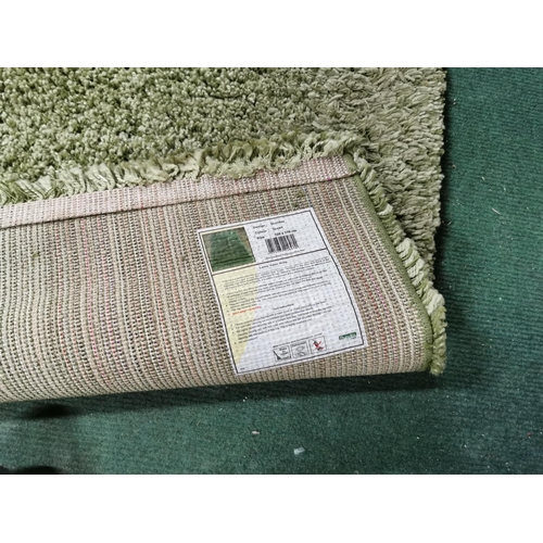 344 - Large Thick Pile Green Rug Size 120cm 170cm