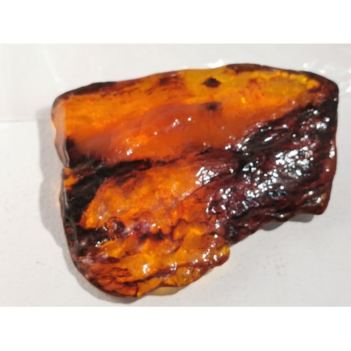 352 - 101g Of Golden Amber Specimen