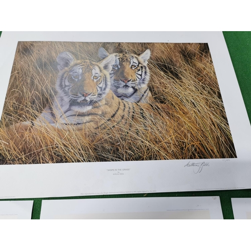 67 - Quantity Of Four Hand Signed Limited Edition Prints Of Big Cats Inc 'Wisps In The Grass' By Antony G... 