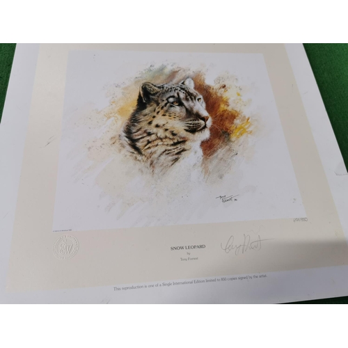 67 - Quantity Of Four Hand Signed Limited Edition Prints Of Big Cats Inc 'Wisps In The Grass' By Antony G... 