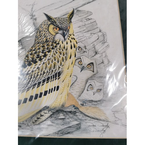 44 - Hand Signed Print Of Owl Scene By Recognized Local Artist  Dee Doody