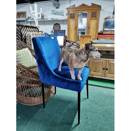 28 - Blue Velor Upholstered Chair On Black Metal Stick Legs