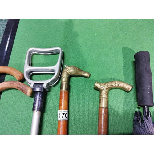 170 - Large quantity of walking sticks and umbrellas two with brass handles one with silver collar and a s... 