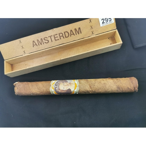 295 - Very large cased cigar marked Amsterdam, 31.5cm long width of 4cm