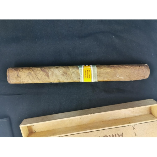 295 - Very large cased cigar marked Amsterdam, 31.5cm long width of 4cm