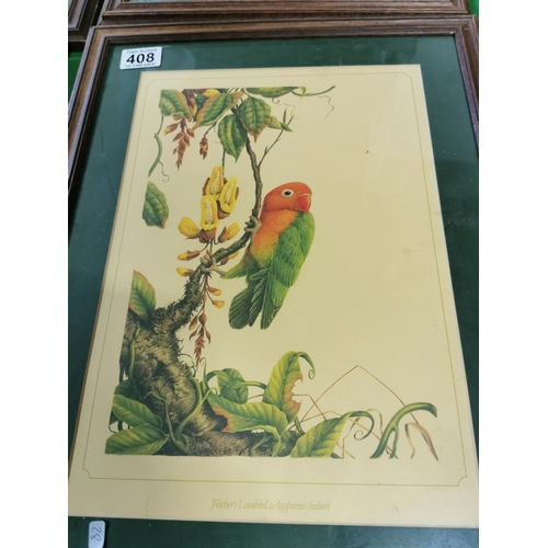 408 - Framed plates of birds