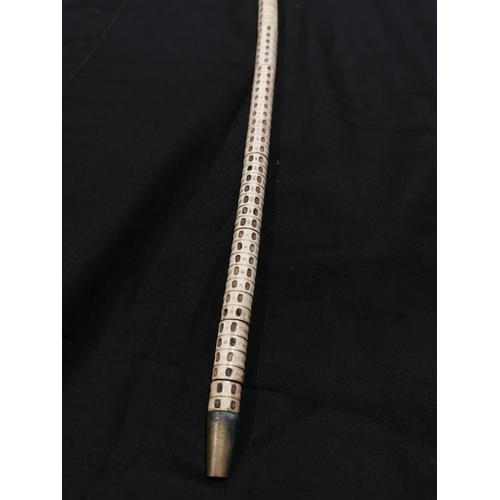 210a - 1800's Shark vertebrae silver topped walking stick with a silver shield 85cm long