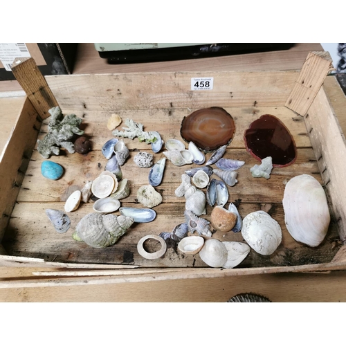 458 - Quantity of various shells, coral etc