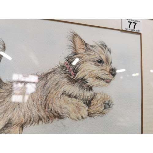 77 - Very well done pastel of a Yorkshire Terrier in a gilt frame signed Janie