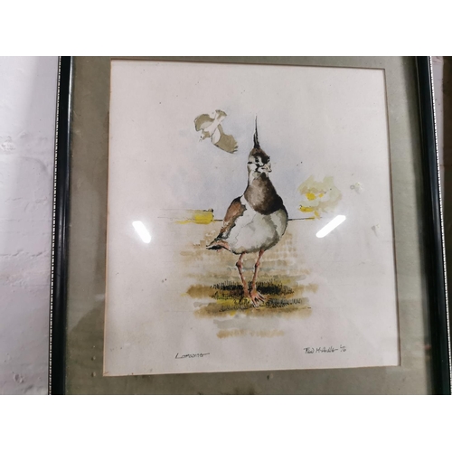 81 - Framed oil on canvas of a sea scape Schubert and a framed watercolour of a lapwing by Ted McArdle