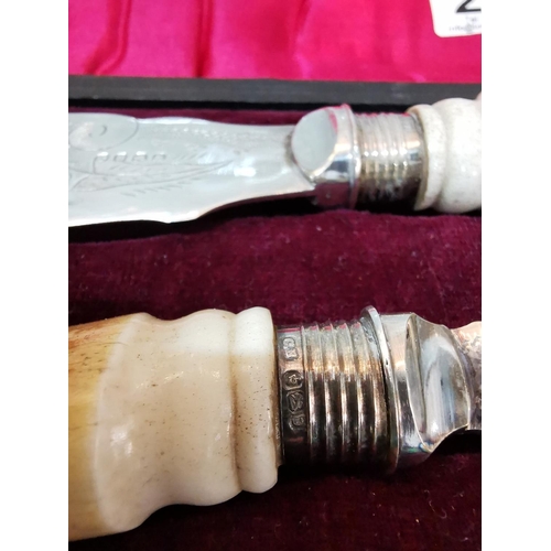 234 - Nice quality serving set with horn handles and hallmarked silver collars in a fitted plush case