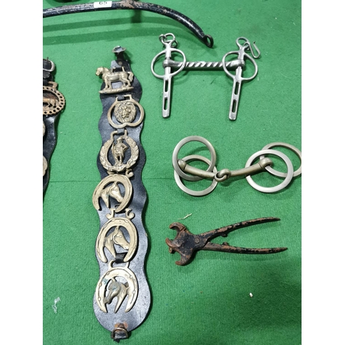 65 - Quantity of horse items inc four horse bits, two horse brasses horse shoe etc