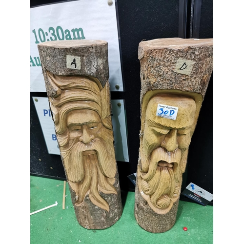 30d - Two carved log faces