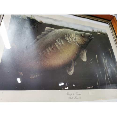 335 - Two handsigned limited edition prints 'Carp to Crust' and 'Tempting the Tench' by Shelia Tilmouth  m... 