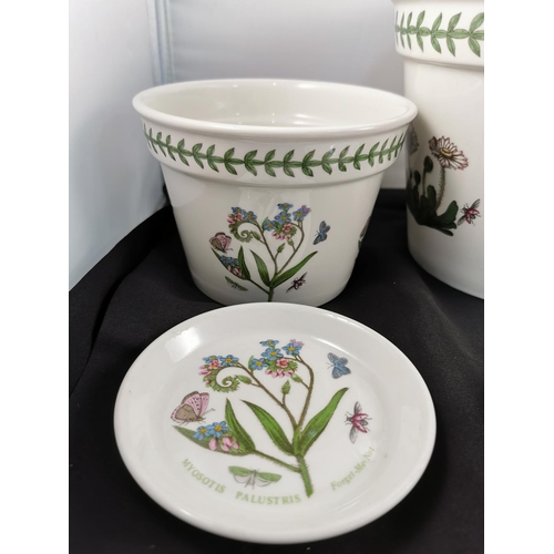 108 - Three Portmeirion Botanic Garden planters with three planter saucers to match