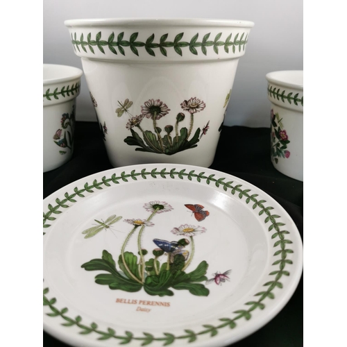 108 - Three Portmeirion Botanic Garden planters with three planter saucers to match