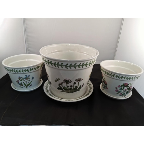 108 - Three Portmeirion Botanic Garden planters with three planter saucers to match