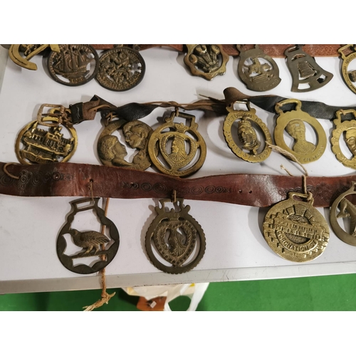 127 - Approx. 48 good antique horse brasses on leather straps