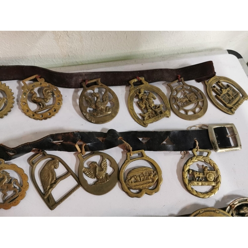 127 - Approx. 48 good antique horse brasses on leather straps