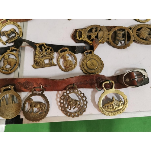 127 - Approx. 48 good antique horse brasses on leather straps