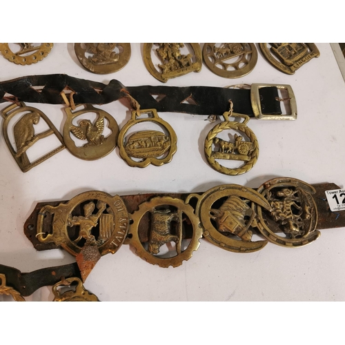 127 - Approx. 48 good antique horse brasses on leather straps