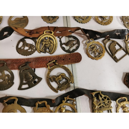 127 - Approx. 48 good antique horse brasses on leather straps