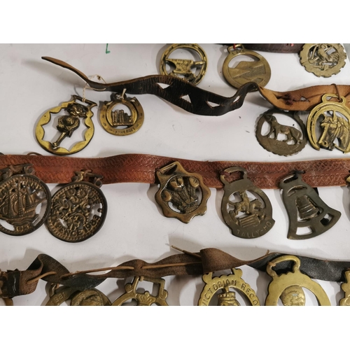 127 - Approx. 48 good antique horse brasses on leather straps