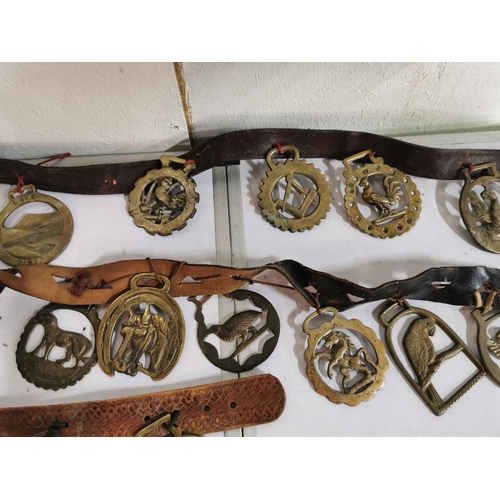 127 - Approx. 48 good antique horse brasses on leather straps