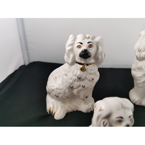 147 - Four Royal Doulton Staffordshire seated dogs, tallest dog is 15cm tall in good order