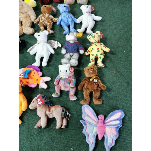 18 - Quantity of 20 TY Beanie Teddies inc four large ones along with a tiger pyjama case