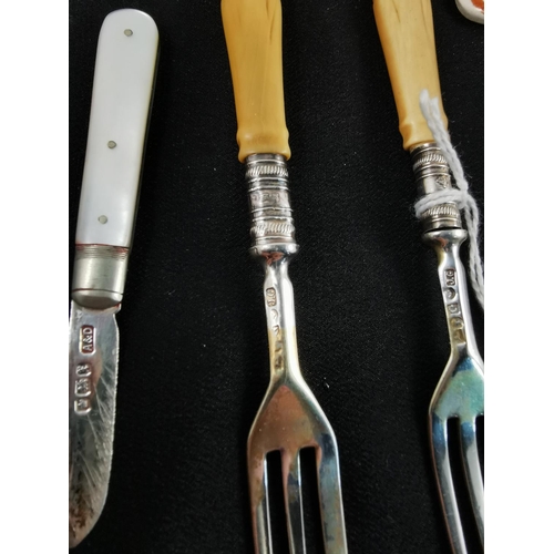 213 - Two hallmarked silver forks hallmarked on the fork and the collar along with a hallmarked silver fru... 