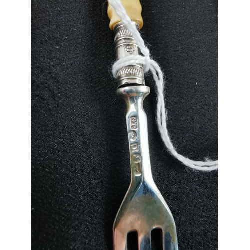 213 - Two hallmarked silver forks hallmarked on the fork and the collar along with a hallmarked silver fru... 