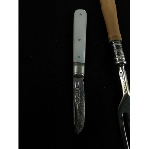 213 - Two hallmarked silver forks hallmarked on the fork and the collar along with a hallmarked silver fru... 