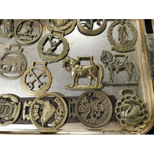 251 - Approx. 26 antique horse brasses