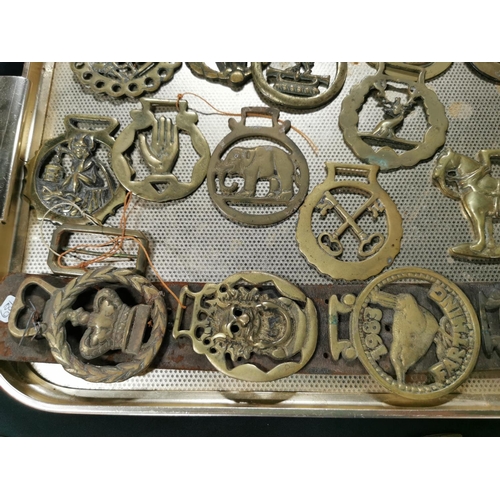 251 - Approx. 26 antique horse brasses