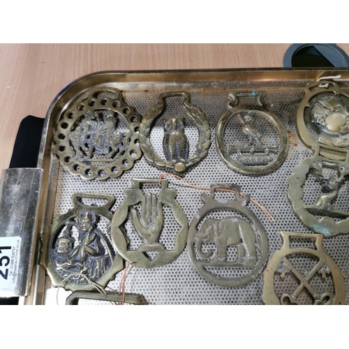 251 - Approx. 26 antique horse brasses