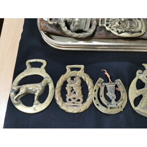 251 - Approx. 26 antique horse brasses