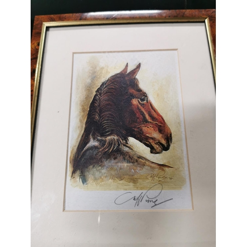 262 - Two hand signed horse head prints framed and glazed