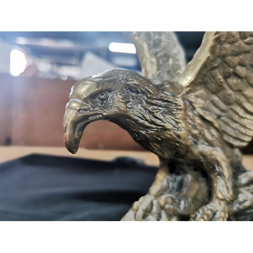 265 - Large solid bronze cast Eagle figure height of 25cm width of 22cm 4.1kg total weight