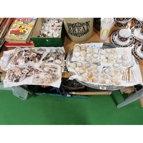 94 - Two trays of 160 plus vintage sea shells collected during holidays in the 1950's and 1960's, (trays ... 