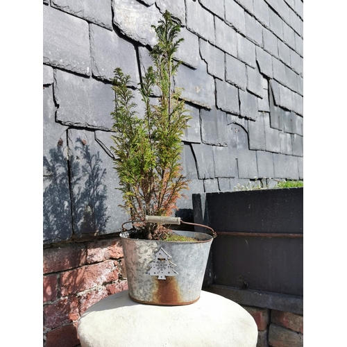 429 - Pair of stoneware saddle stones  along with a conifer tree in a galvanised planter, height of stones... 