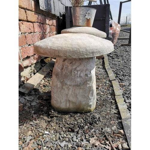 429 - Pair of stoneware saddle stones  along with a conifer tree in a galvanised planter, height of stones... 