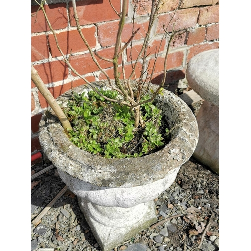 432 - Vintage stoneware urn planter