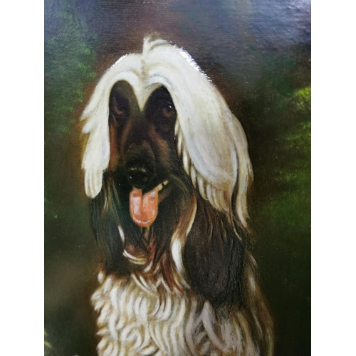 55 - Gilt Framed Oil Painting on canvas of Afghan Hound dog in a woodland scene, showing excellent charac... 