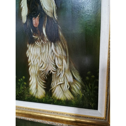 55 - Gilt Framed Oil Painting on canvas of Afghan Hound dog in a woodland scene, showing excellent charac... 
