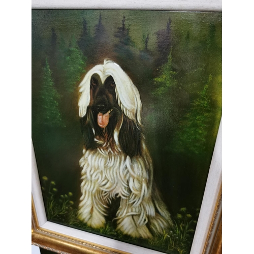 55 - Gilt Framed Oil Painting on canvas of Afghan Hound dog in a woodland scene, showing excellent charac... 