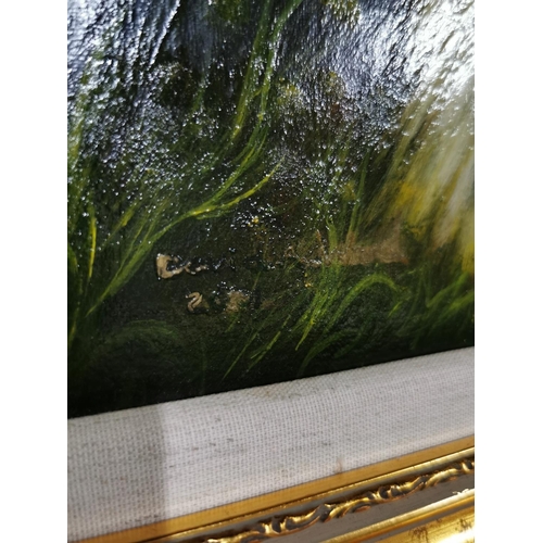 55 - Gilt Framed Oil Painting on canvas of Afghan Hound dog in a woodland scene, showing excellent charac... 