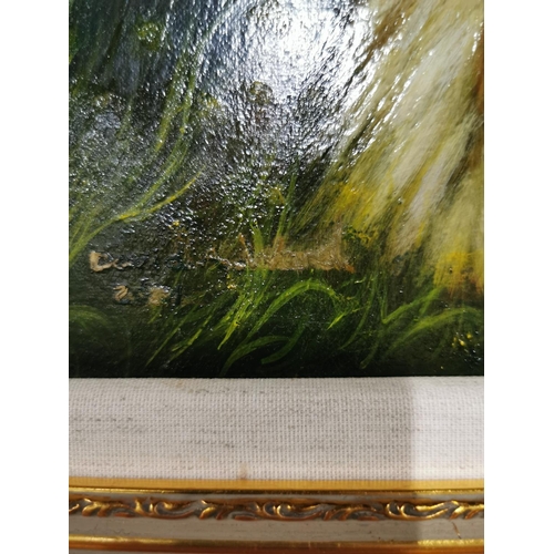 55 - Gilt Framed Oil Painting on canvas of Afghan Hound dog in a woodland scene, showing excellent charac... 