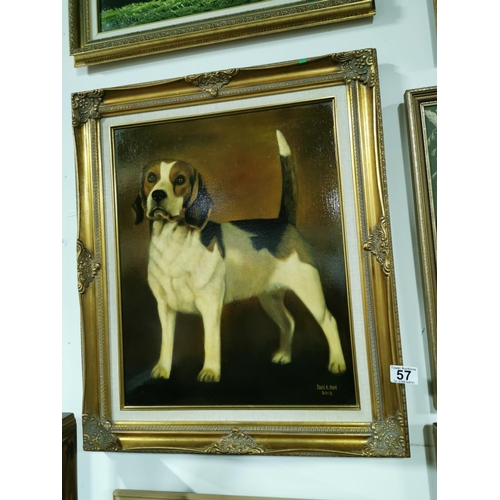 57 - Signed oil painting of a Beagle dog in a gilt frame, Well executed, showing superb detail & colours ... 